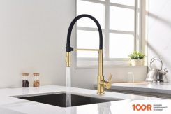 Paulmark HA214021-SBG (ЗОЛОТО/СВЕТЛОЕ БРАШИРОАННОЕ ЗОЛОТО) (259921)