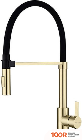 Paulmark HA214021-SBG (ЗОЛОТО/СВЕТЛОЕ БРАШИРОАННОЕ ЗОЛОТО) (259921)