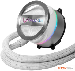 Valkyrie DRAGONFANG 240 (БЕЛЫЙ) (248885)