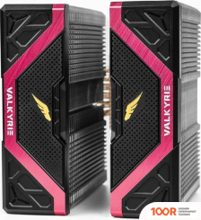 Valkyrie DL125 VIND (ЧЕРНЫЙ) (248883)