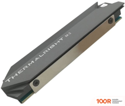 Thermalright TR-M.2 22110 (248654)