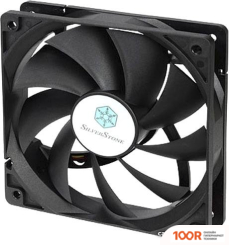 SilverStone FN121-P (248236)