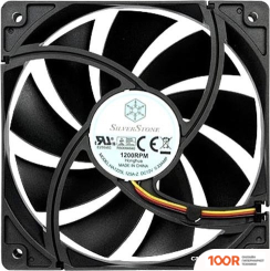 SilverStone FN121-P (248236)