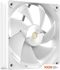 Ocypus IOTA L24 WH (247765)