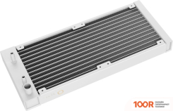 Ocypus IOTA L24 WH (247765)