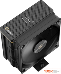 Ocypus IOTA A40 BK (247760)