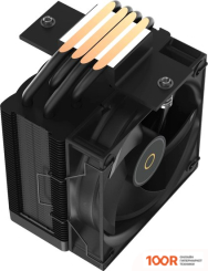 Ocypus GAMMA A40 BK (247751)