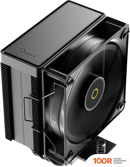 Ocypus GAMMA A40 BK (247751)