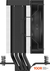 Ocypus GAMMA A40 BK (247751)