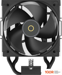 Ocypus GAMMA A40 BK (247751)