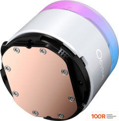 Ocypus DELTA L24 WH ARGB (247748)