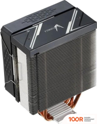 Formula ICE BURG PLUS ARPW 4P (246507)