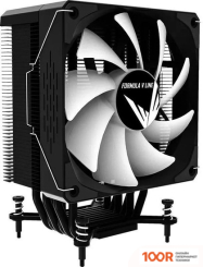 Formula ICE BURG EX ARPW 6P (246506)