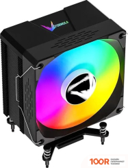 Formula ICE BURG EX ARPW 6P (246506)