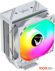 Formula ICE BURG ARPW 4P (246505)