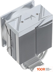 Formula ICE BURG ARPW 4P (246505)