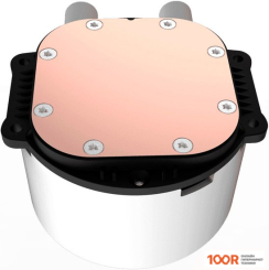 dark Flash RADIANT DCS 240 (БЕЛЫЙ) (245913)