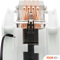 ALSEYE S120D-W (245328)