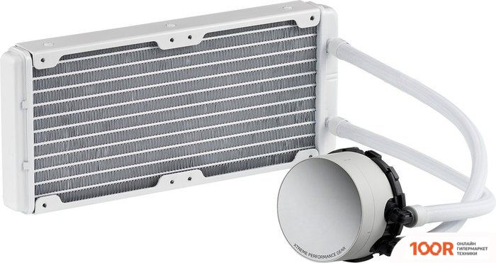 ADATA XPG LEVANTE X 240 (БЕЛЫЙ) (245119)