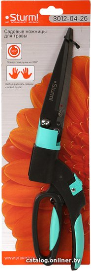 Sturm 3012-04-26 (243014)