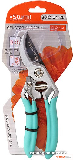 Sturm 3012-04-25 (243013)