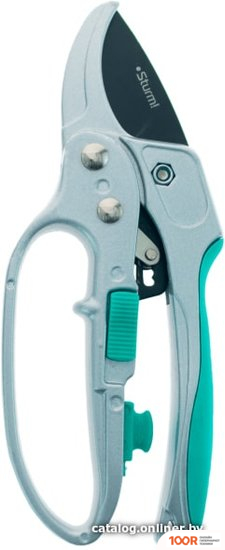 Sturm 3012-04-02 (243007)