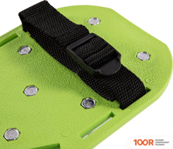 Palisad 64498 (242843)