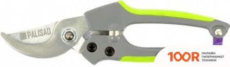 Palisad 60489 (242768)