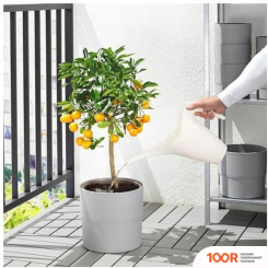 Ikea PS 2002 602.899.46 (242700)