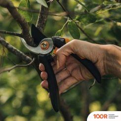 Fiskars SOLID P321 1057162 (242543)