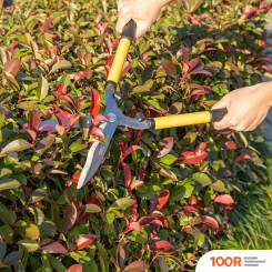 Deli EDL2806 (242405)