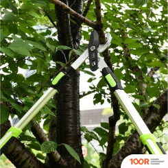 Deli DL580423 (242400)