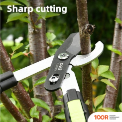 Deli DL580423 (242400)