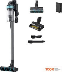 Пылесос Samsung VS20B75AER1 (239251)