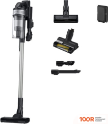 Пылесос Samsung VS15A60AGR5/GE (239240)