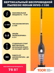Пылесос Rekam HVVC-1100 (239076)