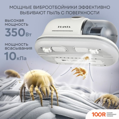 Пылесос Planta PL-VCD01 (238962)