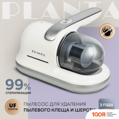 Пылесос Planta PL-VCD01 (238962)