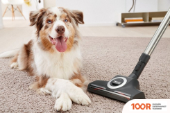 Пылесос Miele COMPLETE C3 CAT&DOG POWERLINE SGEF3 (238644)