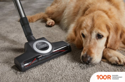 Пылесос Miele COMPLETE C3 CAT & DOG FLEX SGEF5 (ОРАНЖЕВЫЙ) (238642)