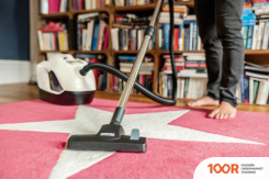 Пылесос Karcher DS 6 PLUS 1.195-252.0 (237876)