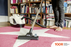 Пылесос Karcher DS 6 1.195-250.0 (237875)