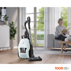 Пылесос Electrolux PURE D9 PD91-6IWX (237343)