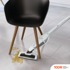 Пылесос Electrolux EERC70IW (237307)