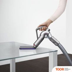Пылесос Dyson BIG BALL ALLERGY 2 (237161)