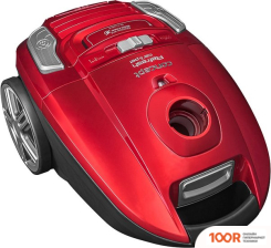 Пылесос Concept VP8224 (236931)