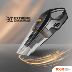 Пылесос Concept VP4351 (236911)