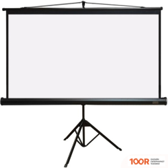 Проекционный экран PL MAGNA TRM-PC-100D (235192)