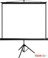 Проекционный экран PL MAGNA TRM-NTSC-120D (235190)