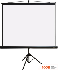 Проекционный экран PL MAGNA TRM-AV-60 (235181)